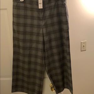 NWT Loft Pants